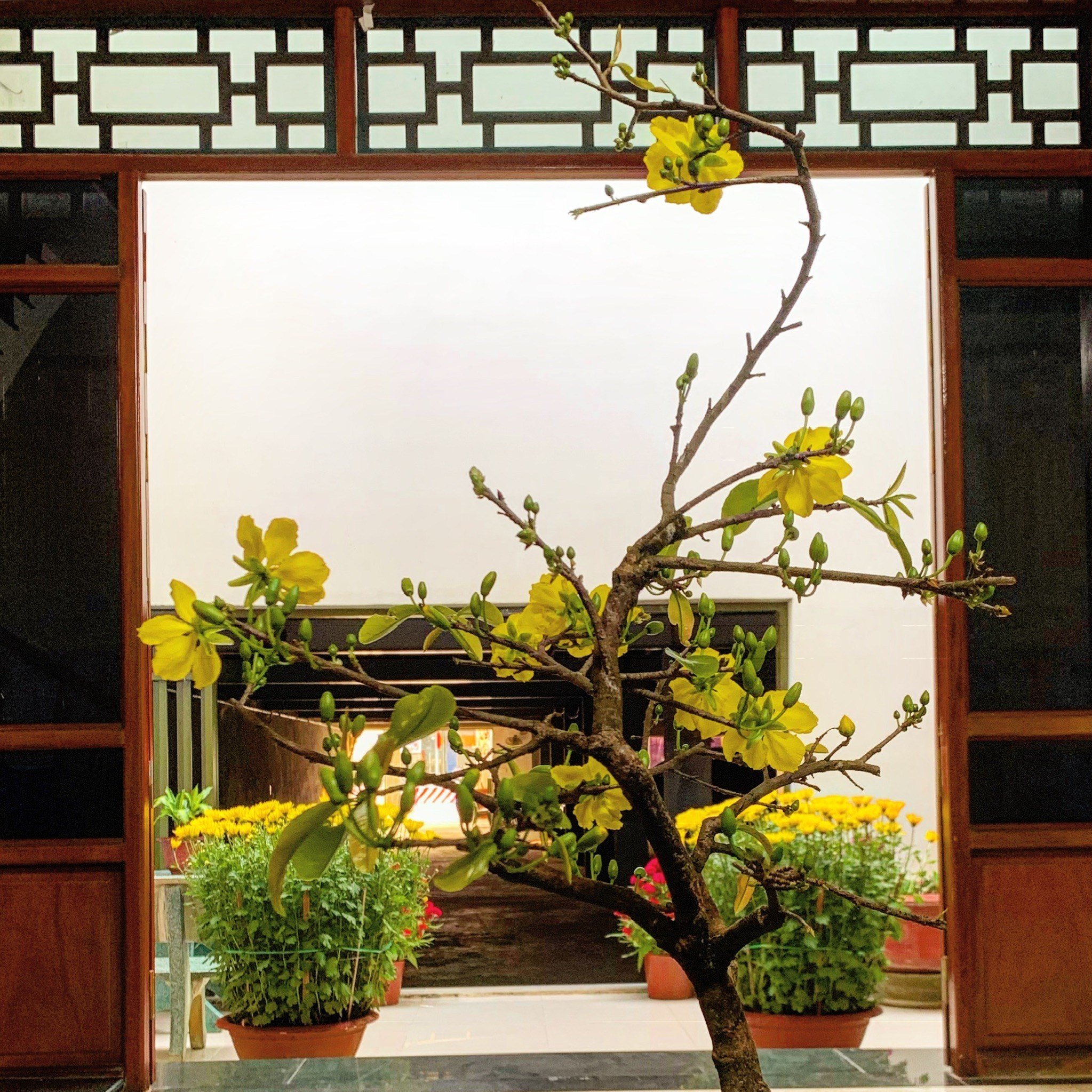 元日休業のお知らせ